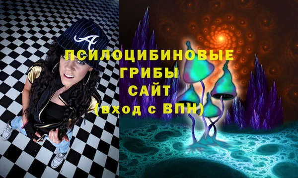 гидра Абдулино