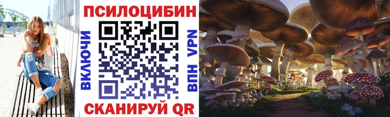 MEGA ТОР  Аксай  Псилоцибиновые грибы MAGIC MUSHROOMS 